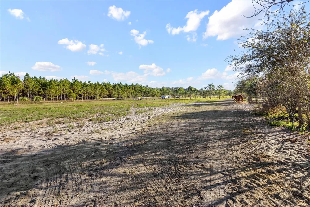 18121 BETHLEHEM ROAD Lithia, FL 33547