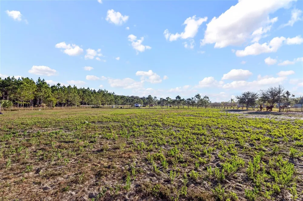 18121 BETHLEHEM ROAD Lithia, FL 33547