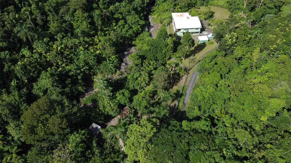 38 COLINAS DE CUBUY Canovanas, PR 00729