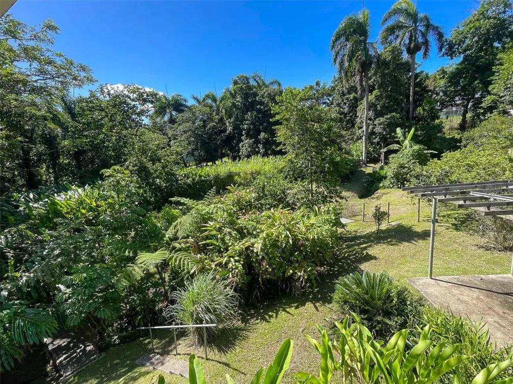 38 COLINAS DE CUBUY Canovanas, PR 00729