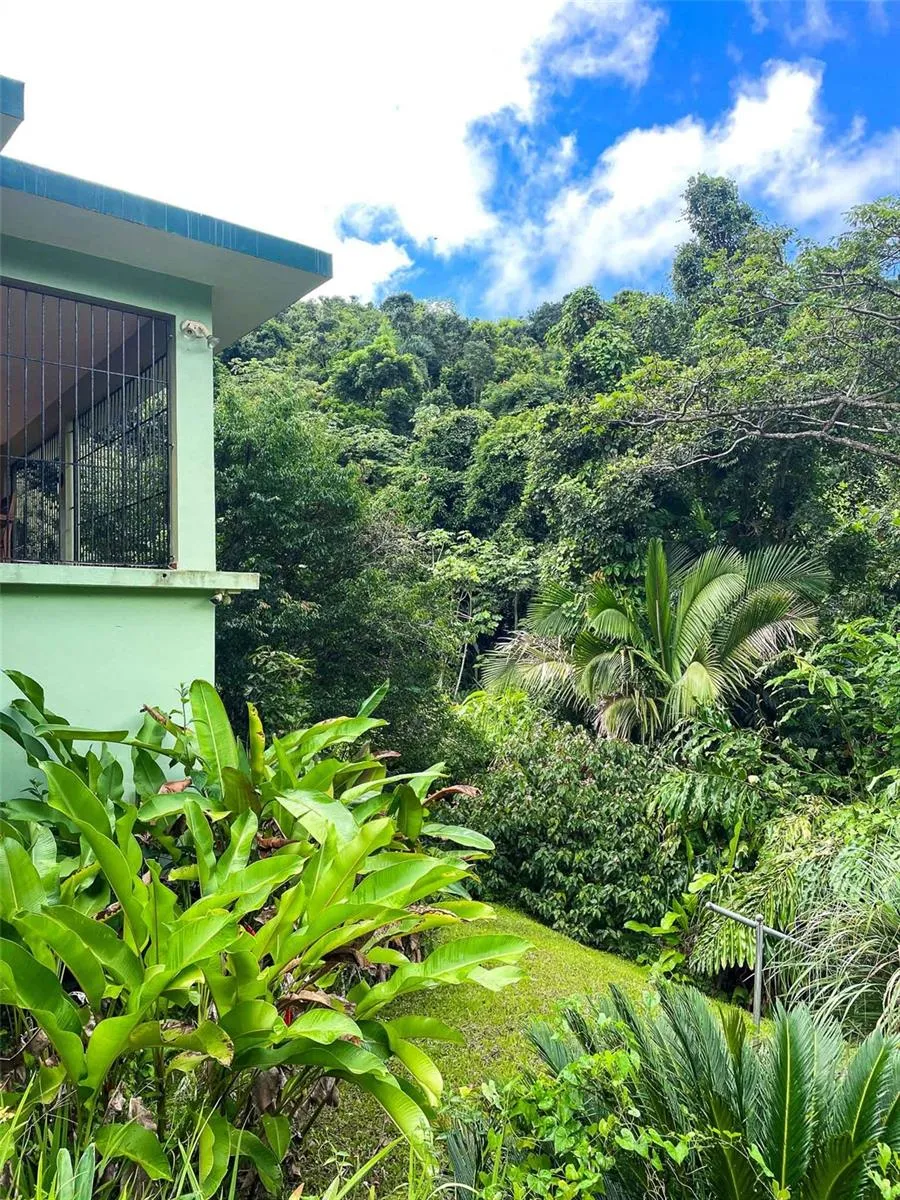 38 COLINAS DE CUBUY Canovanas, PR 00729
