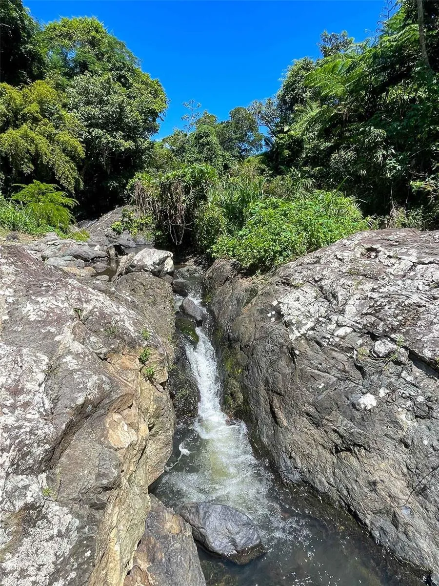 38 COLINAS DE CUBUY Canovanas, PR 00729