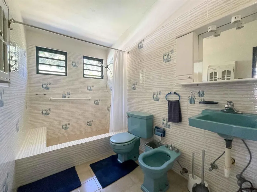 38 COLINAS DE CUBUY Canovanas, PR 00729