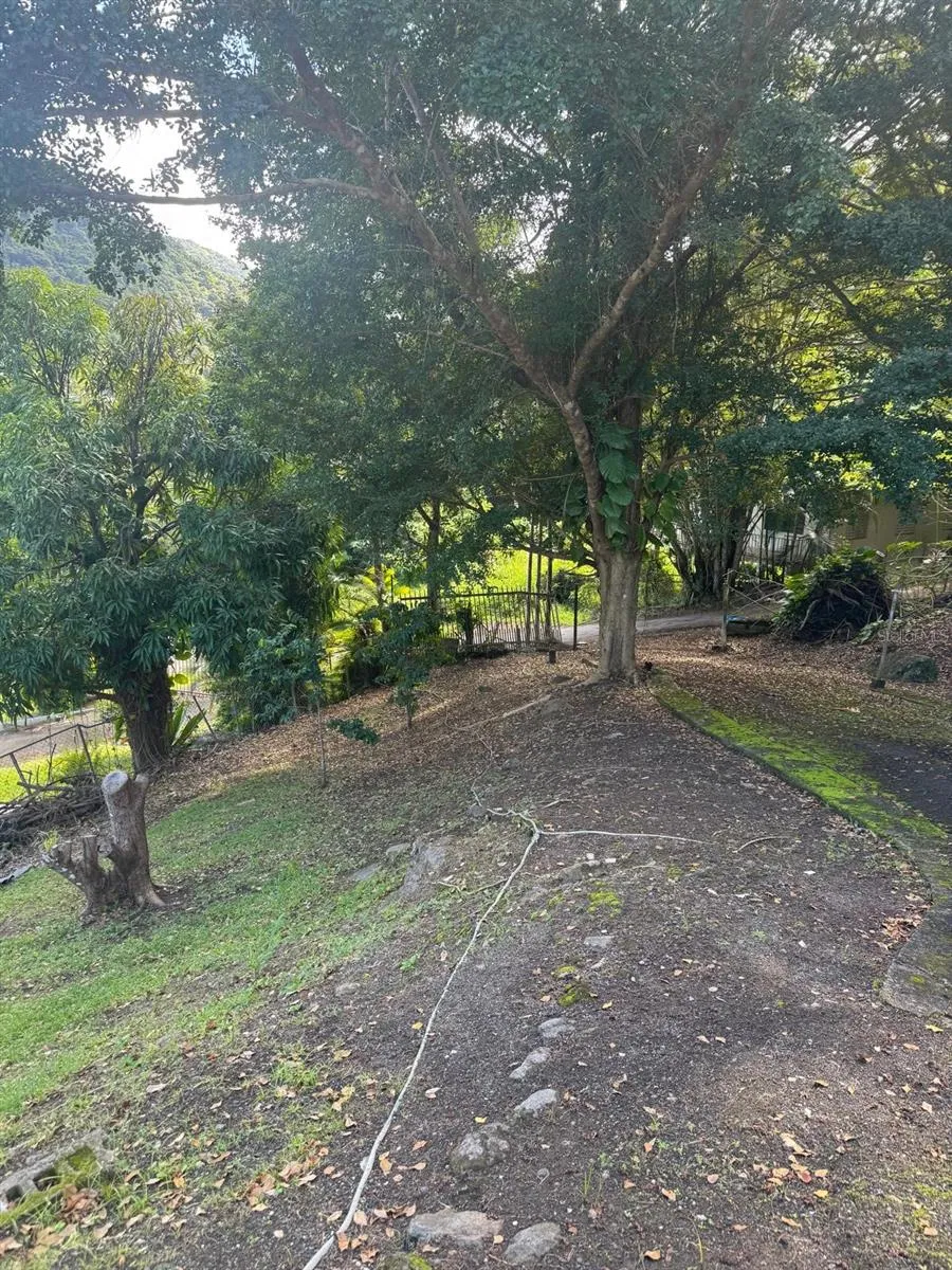 185 KM 6.1 CAMPO RICO ROAD Canovanas, PR 00729