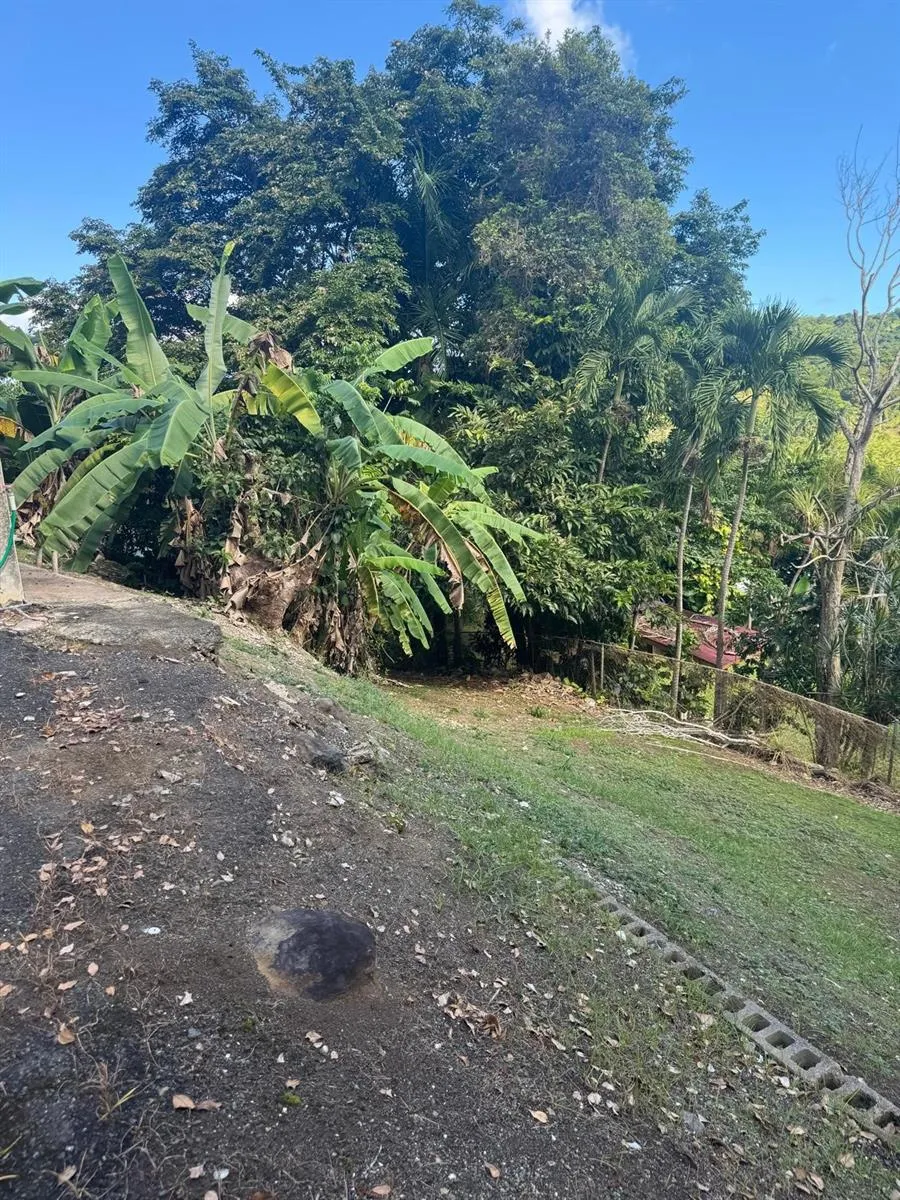 185 KM 6.1 CAMPO RICO ROAD Canovanas, PR 00729