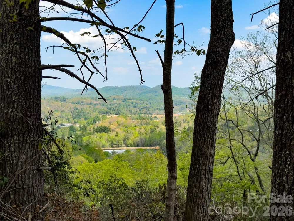 TBD Pine Point Road Spruce Pine, NC 28777