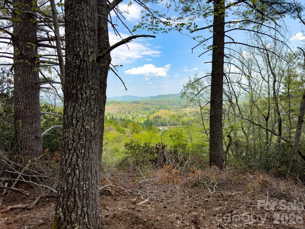 TBD Pine Point Road Spruce Pine, NC 28777