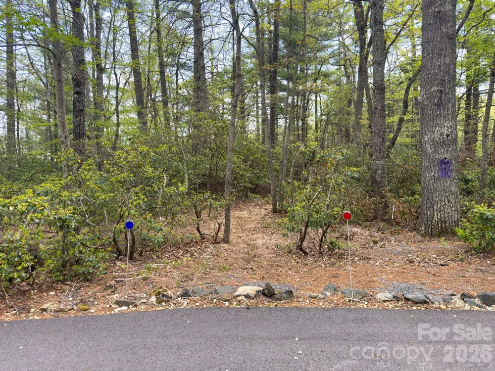 TBD Pine Point Road Spruce Pine, NC 28777