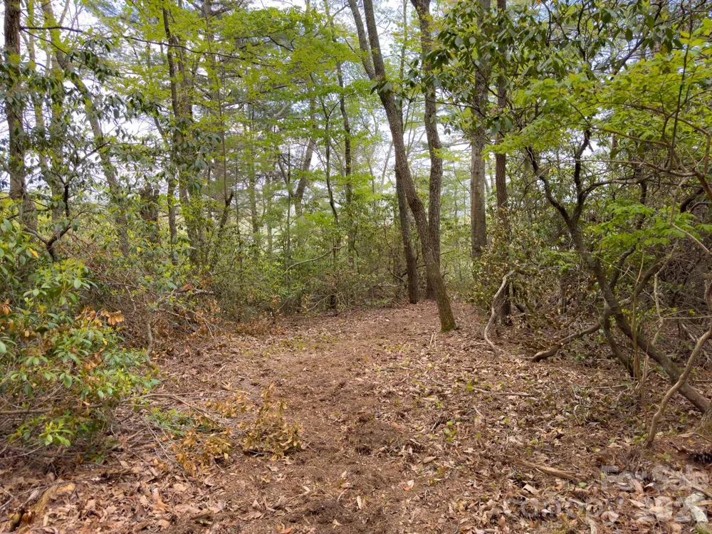 TBD Pine Point Road Spruce Pine, NC 28777