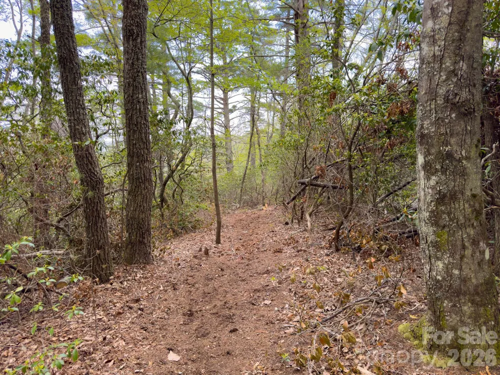 TBD Pine Point Road Spruce Pine, NC 28777