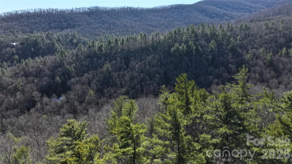 TBD Pine Point Road Spruce Pine, NC 28777