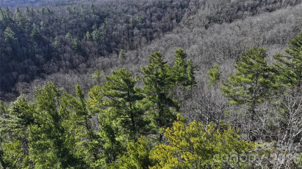 TBD Pine Point Road Spruce Pine, NC 28777