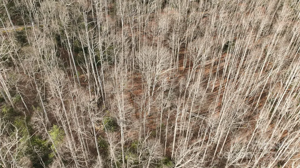 TBD High Acres Road Spruce Pine, NC 28777