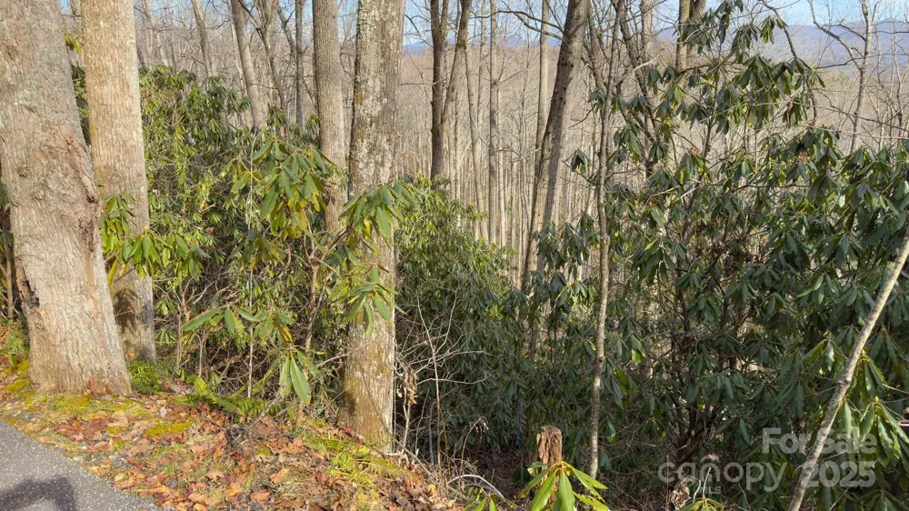TBD High Acres Road Spruce Pine, NC 28777