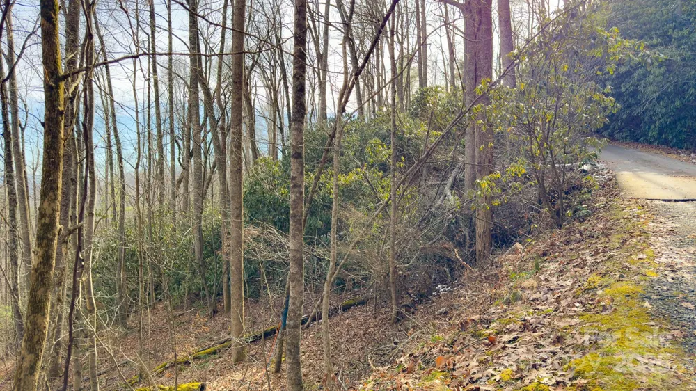 TBD High Acres Road Spruce Pine, NC 28777
