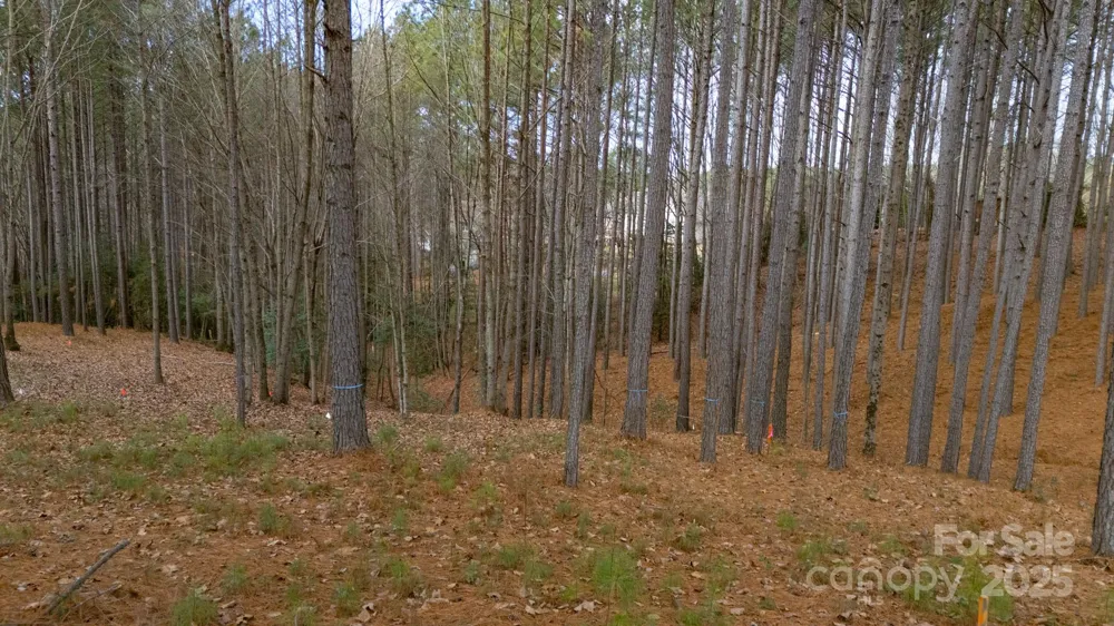 340 Gardner Point Drive Stony Point, NC 28678