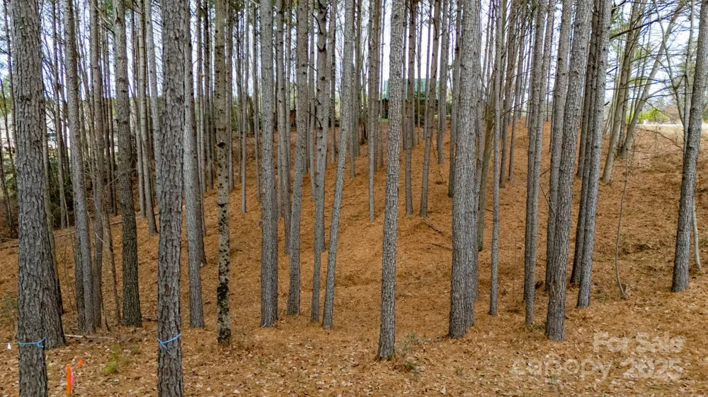 340 Gardner Point Drive Stony Point, NC 28678