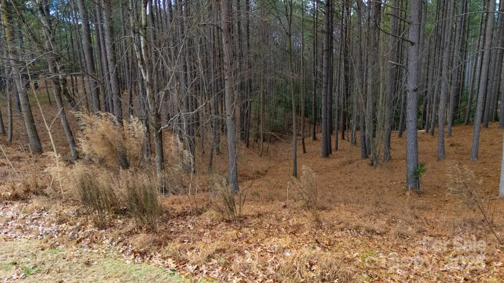 340 Gardner Point Drive Stony Point, NC 28678