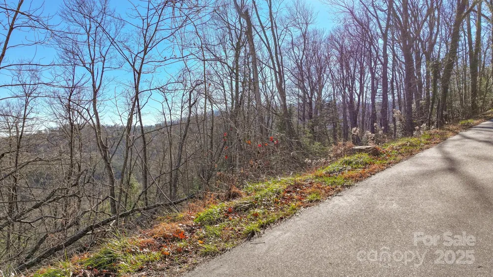 TBD MCHONE ROAD Spruce Pine, NC 28777