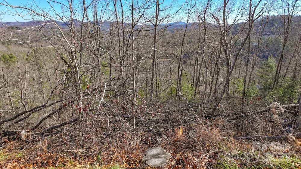 TBD MCHONE ROAD Spruce Pine, NC 28777