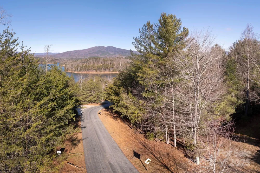 TBD Dockside Drive Nebo, NC 28754