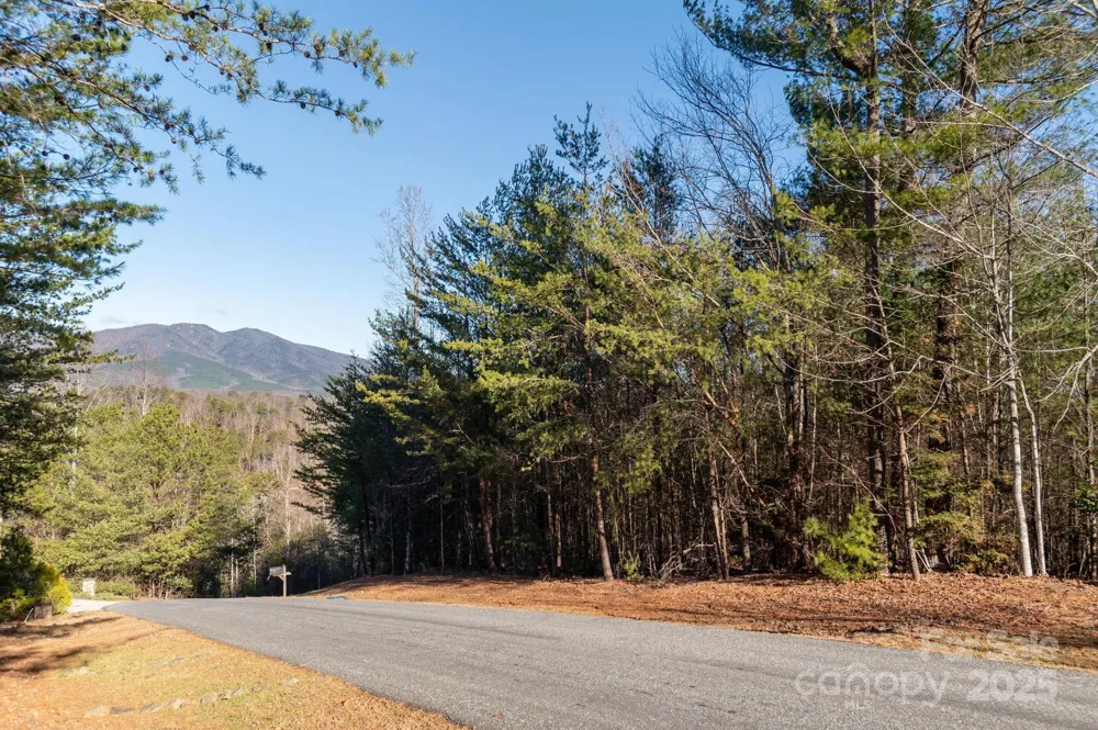 TBD Dockside Drive Nebo, NC 28754