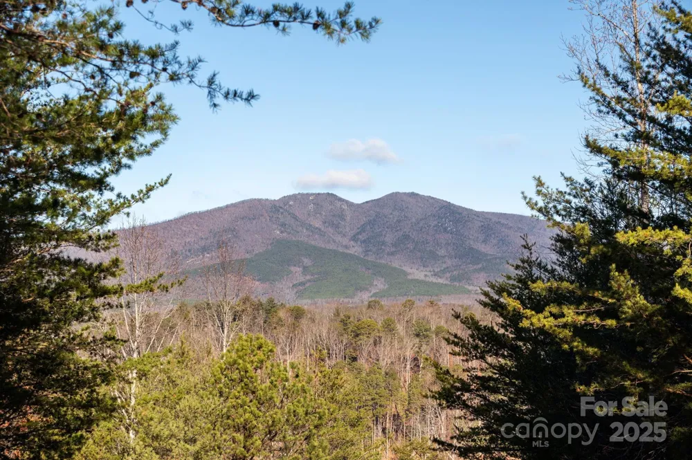 TBD Dockside Drive Nebo, NC 28754