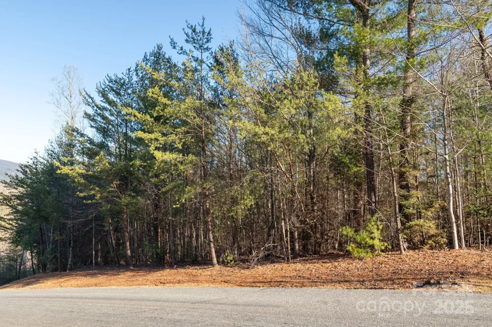 TBD Dockside Drive Nebo, NC 28754