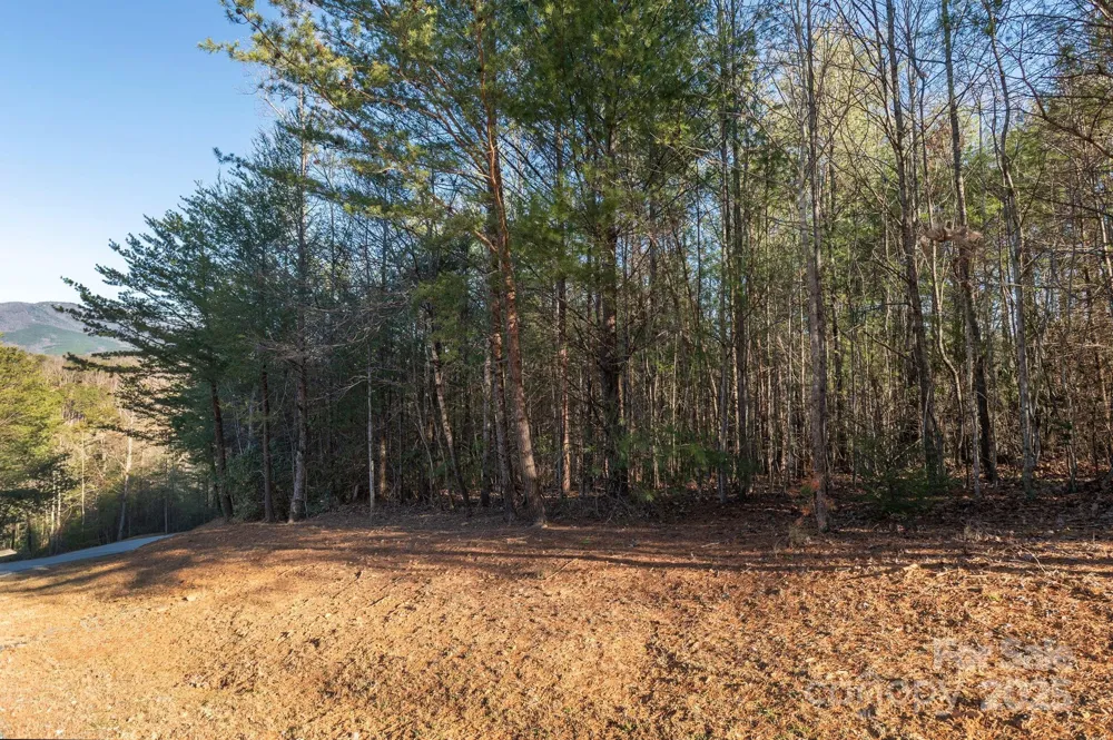 TBD Dockside Drive Nebo, NC 28754