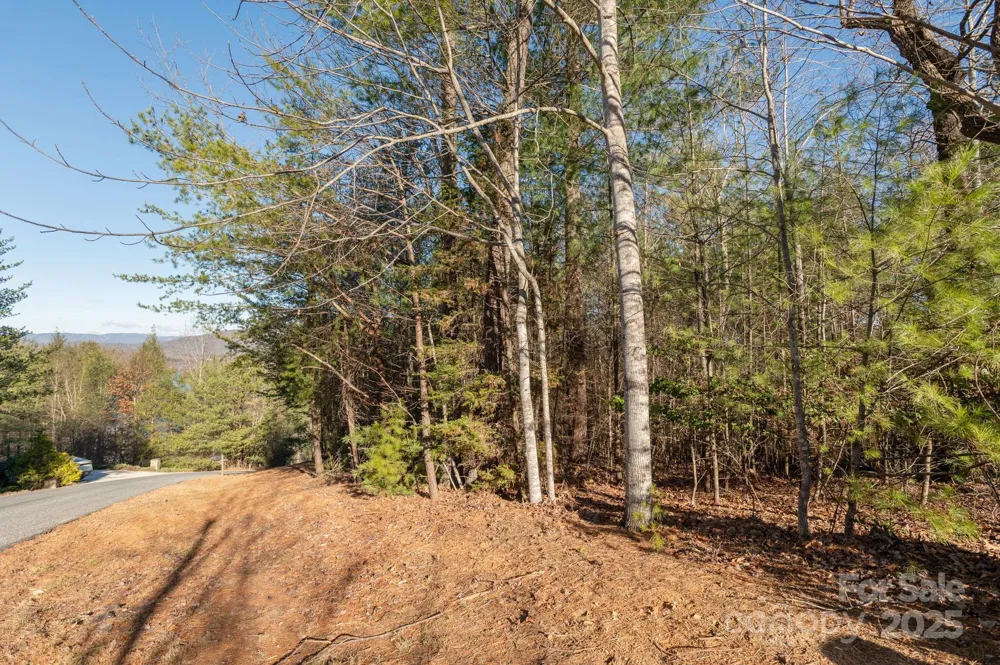 TBD Dockside Drive Nebo, NC 28754