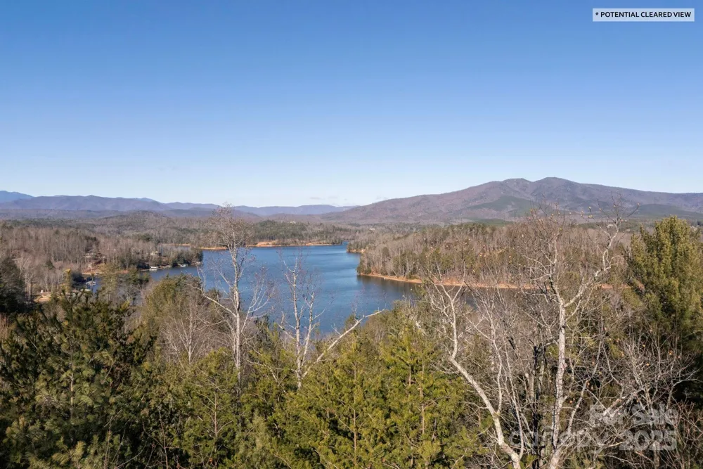 TBD Dockside Drive Nebo, NC 28754