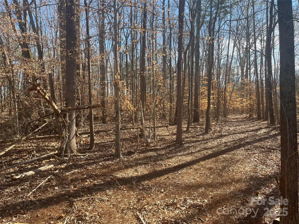 15.009 Acres Archer Road Davidson, NC 28036