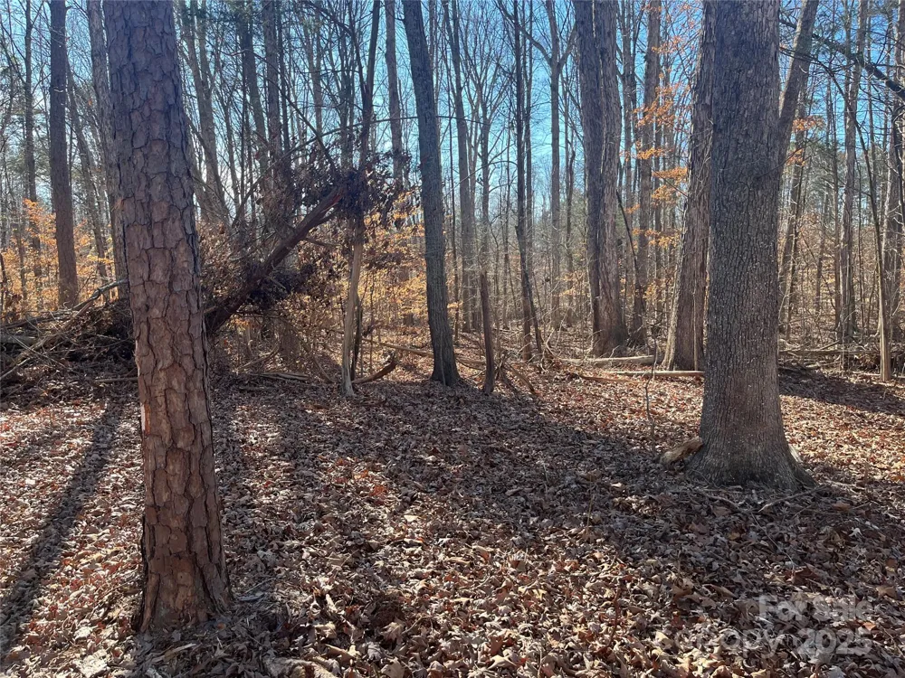15.009 Acres Archer Road Davidson, NC 28036