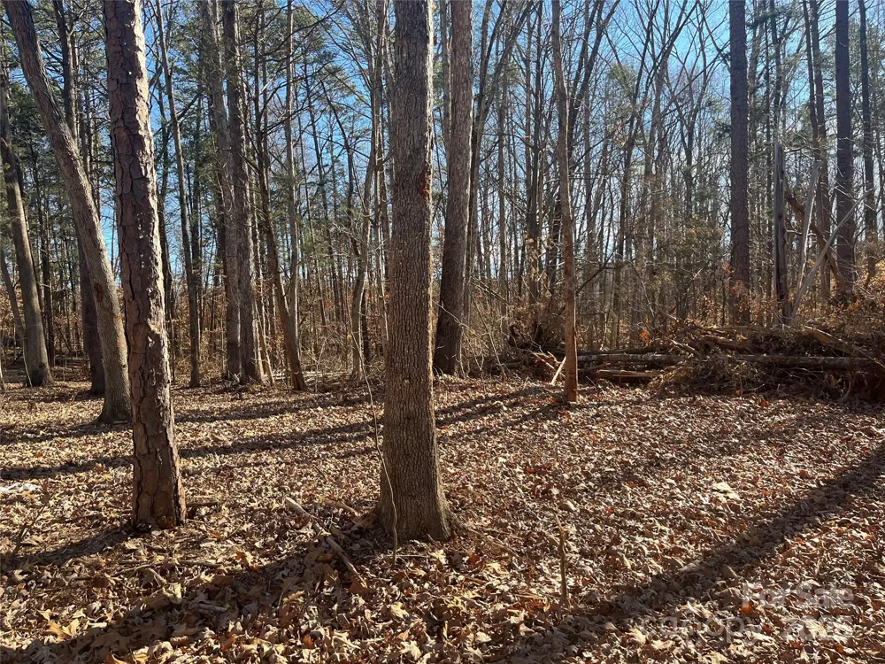 15.009 Acres Archer Road Davidson, NC 28036
