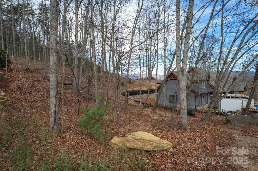31 Old Lafayette Lane #22 Black Mountain, NC 28711