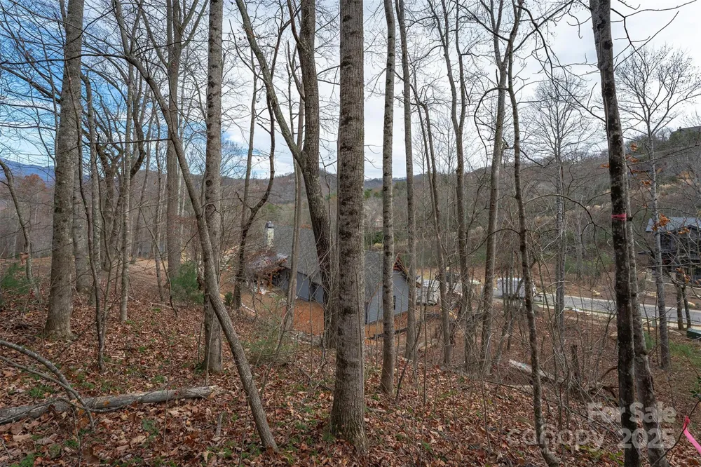 31 Old Lafayette Lane #22 Black Mountain, NC 28711