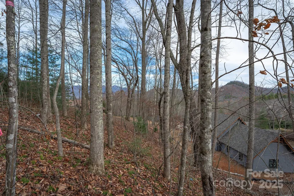 31 Old Lafayette Lane #22 Black Mountain, NC 28711