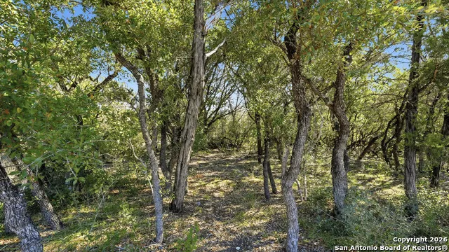 199 Private Road 1730 Mico, TX 78056
