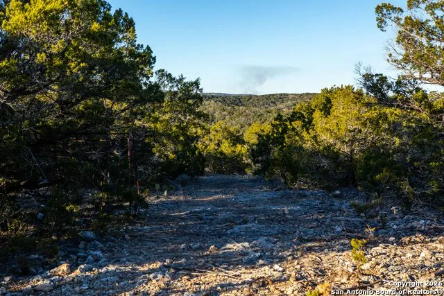 474 Zapata Ridge Medina, TX 78055