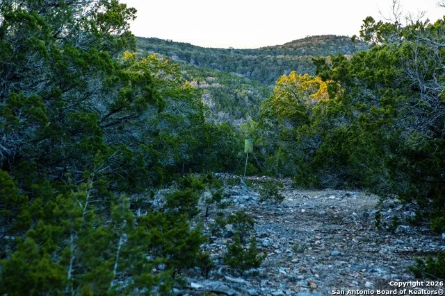 474 Zapata Ridge Medina, TX 78055