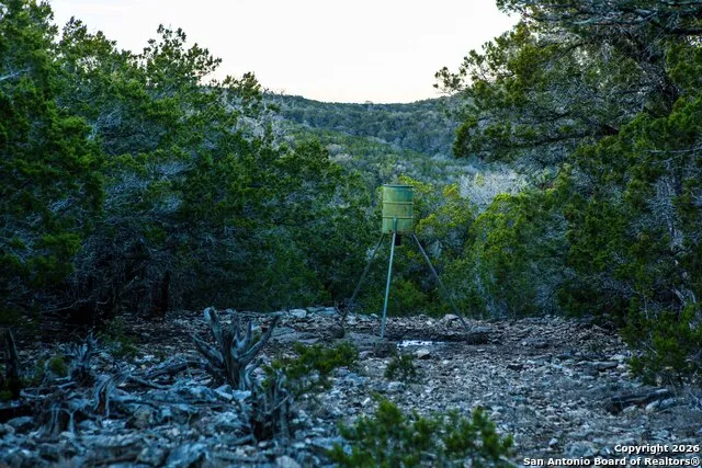 474 Zapata Ridge Medina, TX 78055