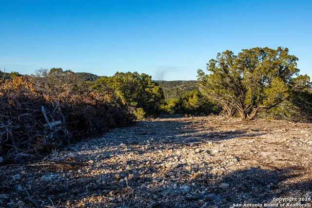 474 Zapata Ridge Medina, TX 78055