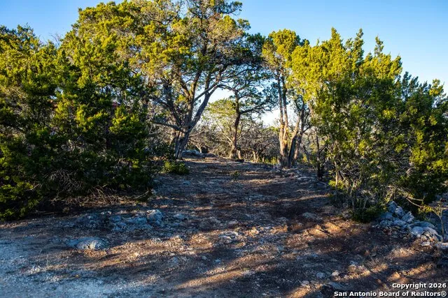 474 Zapata Ridge Medina, TX 78055