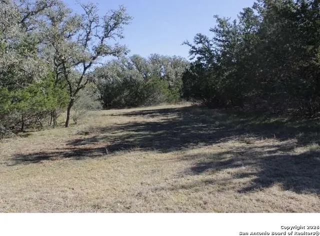 317 Swayze Road Utopia, TX 78884