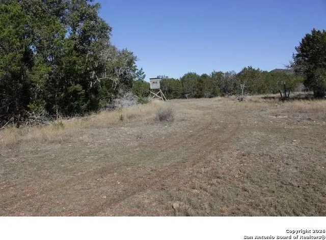 317 Swayze Road Utopia, TX 78884