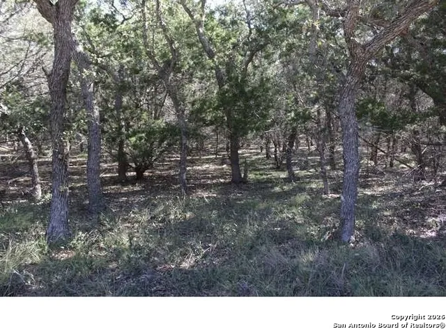317 Swayze Road Utopia, TX 78884