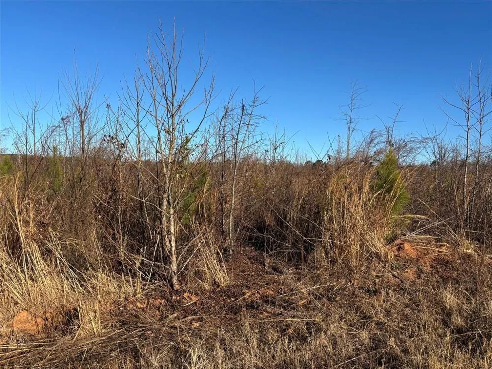0 State Rte 83 Route Monroe, GA 30655
