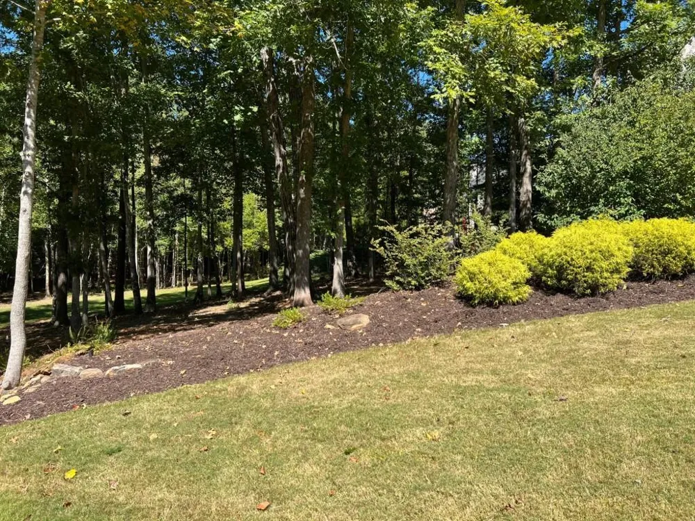 6218 ZELL MILLER  NW Acworth, GA 30101