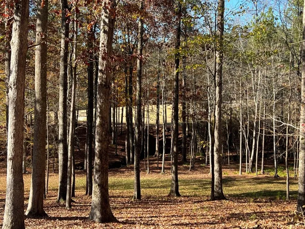 6218 ZELL MILLER  NW Acworth, GA 30101