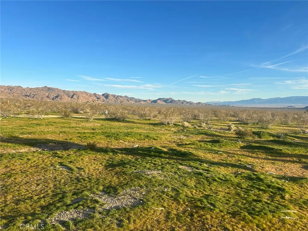 30002 Pipeline Lucerne Valley, CA 92356